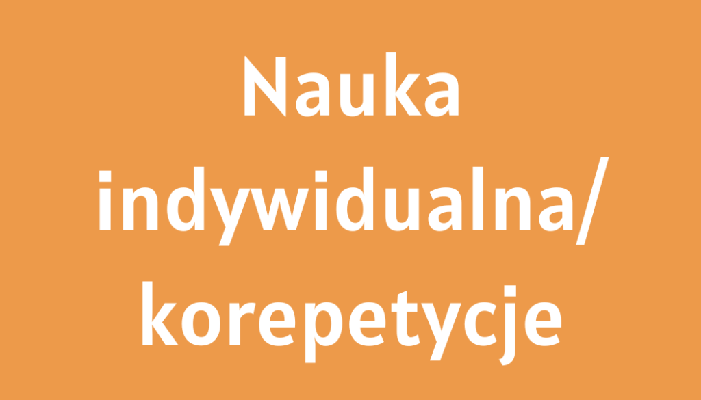 Napis nauka indywidualna / korepetycje